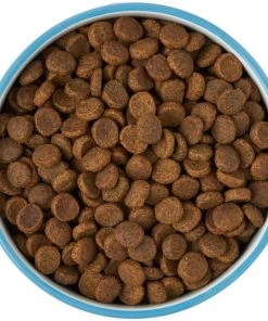 Frisco Paw Prints Non-skid Ceramic Dog & Cat Bowl, Blue 14 Frisco Paw Prints Non-skid Ceramic Dog & Cat Bowl, Blue -Frisco Sales 2024 256067 PT6. SY630 V1615313517