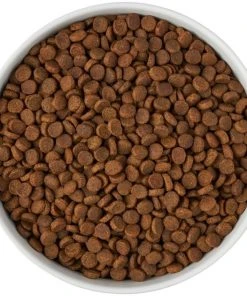 Frisco Paw Prints Non-skid Ceramic Bowl, 7.75 Cups -Frisco Sales 2024 256072 PT5. SY630 V1615312318