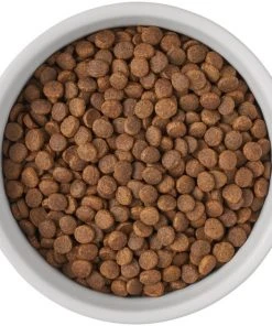 Frisco Bones Non-skid Ceramic Dog & Cat Bowl -Frisco Sales 2024 256074 PT5. SY630 V1615312010