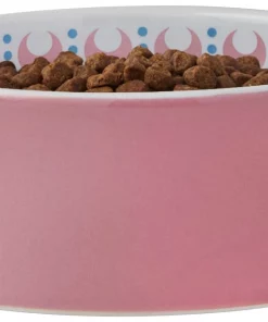 Frisco Kaleidoscope Pattern Non-skid Ceramic Cat Dish, Pink, 1.62 Cup -Frisco Sales 2024 256086 PT3. SY630 V1615311761