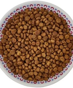 Frisco Kaleidoscope Pattern Non-skid Ceramic Cat Dish, Purple, 0.62 Cup -Frisco Sales 2024 256088 PT5. SY630 V1617042699