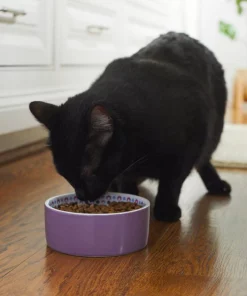 Frisco Kaleidoscope Pattern Non-skid Ceramic Cat Dish, Purple, 1.62 Cup 10 Frisco Kaleidoscope Pattern Non-skid Ceramic Cat Dish, Purple, 1.62 Cup -Frisco Sales 2024 256090 PT2. SY630 V1615311092