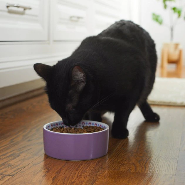 Frisco Kaleidoscope Pattern Non-skid Ceramic Cat Dish, Purple, 1.62 Cup 5 Frisco Kaleidoscope Pattern Non-skid Ceramic Cat Dish, Purple, 1.62 Cup - Image 3