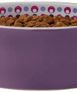 Frisco Kaleidoscope Pattern Non-skid Ceramic Cat Dish, Purple, 1.62 Cup 11 Frisco Kaleidoscope Pattern Non-skid Ceramic Cat Dish, Purple, 1.62 Cup -Frisco Sales 2024 256090 PT3. SY630 V1615311698