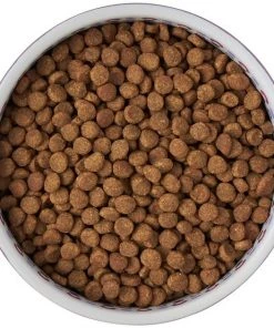 Frisco Kaleidoscope Pattern Non-skid Ceramic Cat Dish, Purple, 1.62 Cup 13 Frisco Kaleidoscope Pattern Non-skid Ceramic Cat Dish, Purple, 1.62 Cup -Frisco Sales 2024 256090 PT5. SY630 V1615312887