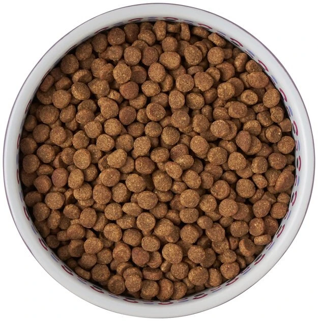 Frisco Kaleidoscope Pattern Non-skid Ceramic Cat Dish, Purple, 1.62 Cup 8 Frisco Kaleidoscope Pattern Non-skid Ceramic Cat Dish, Purple, 1.62 Cup - Image 6