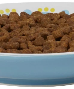 Frisco Kaleidoscope Pattern Non-skid Ceramic Cat Dish, Blue, 0.62 Cup -Frisco Sales 2024 256092 PT3. SY630 V1617042717