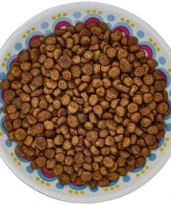 Frisco Kaleidoscope Pattern Non-skid Ceramic Cat Dish, Blue, 0.62 Cup -Frisco Sales 2024 256092 PT5. SY630 V1617042691