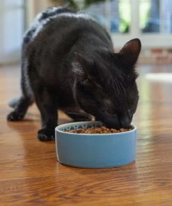 Frisco Kaleidoscope Pattern Non-skid Ceramic Cat Dish, Blue, 1.62 Cups -Frisco Sales 2024 256094 PT2. SY630 V1615311130