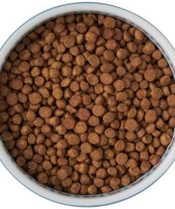 Frisco Kaleidoscope Pattern Non-skid Ceramic Cat Dish, Blue, 1.62 Cups -Frisco Sales 2024 256094 PT5. SY630 V1615312042