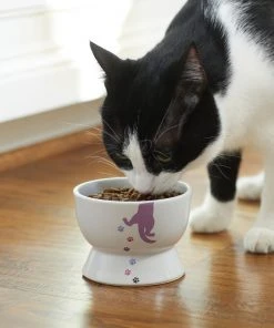 Frisco Cat Print Non-skid Elevated Ceramic Cat Bowl, Short, 1.0 Cup -Frisco Sales 2024 256096 PT2. SY630 V1616522571