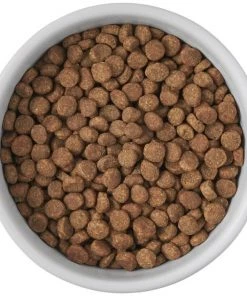 Frisco Cat Print Non-skid Elevated Ceramic Cat Bowl, Short, 1.0 Cup -Frisco Sales 2024 256096 PT4. SY630 V1616522576