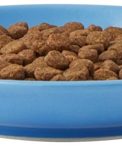 Frisco Cat Face Non-skid Ceramic Cat Dish, Blue, 0.50 Cup -Frisco Sales 2024 256101 PT4. SY630 V1617130592