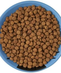 Frisco Cat Face Non-skid Ceramic Cat Dish, Blue, 0.50 Cup -Frisco Sales 2024 256101 PT5. SY630 V1615321282