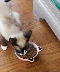 Frisco Cat Face Non-skid Ceramic Cat Bowl, Pink, 1.12 Cups -Frisco Sales 2024 256107 PT2. SY630 V1616522589