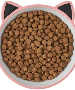 Frisco Cat Face Non-skid Ceramic Cat Bowl, Pink, 1.12 Cups -Frisco Sales 2024 256107 PT5. SY630 V1616522494