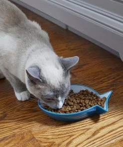 Frisco Fish Shaped Non-skid Ceramic Cat Dish, 0.62 Cups -Frisco Sales 2024 256109 PT3. SY630 V1617196297