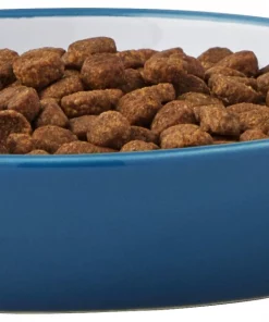 Frisco Fish Shaped Non-skid Ceramic Cat Dish, 0.62 Cups -Frisco Sales 2024 256109 PT4. SY630 V1617196291