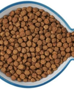 Frisco Fish Shaped Non-skid Ceramic Cat Dish, 0.62 Cups -Frisco Sales 2024 256109 PT6. SY630 V1617196895