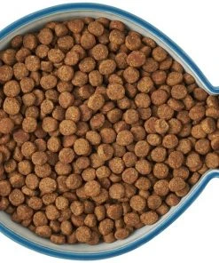 Frisco Fish Shaped Non-skid Ceramic Cat Bowl, 1.37 Cups -Frisco Sales 2024 256111 PT5. SY630 V1616522555