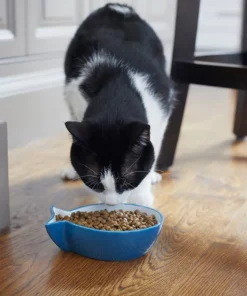 Frisco Fish Shaped Non-skid Ceramic Cat Bowl, 1.37 Cups -Frisco Sales 2024 256111 PT6. SY630 V1617037703