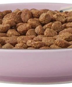 Frisco Paris Non-skid Ceramic Cat Dish, 0.62 Cup -Frisco Sales 2024 256115 PT5. SY630 V1618494743