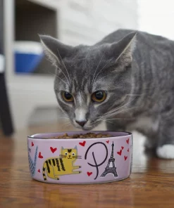 Frisco Paris Non-skid Ceramic Cat Dish, 1.62 Cup 10 Frisco Paris Non-skid Ceramic Cat Dish, 1.62 Cup -Frisco Sales 2024 256117 PT2. SY630 V1615311397