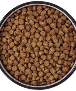 Frisco Paris Non-skid Ceramic Cat Dish, 1.62 Cup 13 Frisco Paris Non-skid Ceramic Cat Dish, 1.62 Cup -Frisco Sales 2024 256117 PT5. SY630 V1615311392