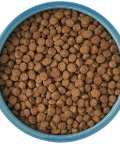 Frisco New York Non-skid Ceramic Cat Bowl, 1.62 Cups -Frisco Sales 2024 256121 PT5. SY630 V1615311387