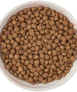 Frisco Marble Design Non-skid Ceramic Cat Dish, 0.75 Cup 13 Frisco Marble Design Non-skid Ceramic Cat Dish, 0.75 Cup -Frisco Sales 2024 256127 PT5. SY630 V1615321285