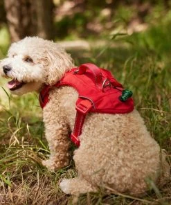 Frisco Outdoor Premium Ripstop Nylon Dog Harness with Pocket -Frisco Sales 2024 256481 PT5. SY630 V1625589623