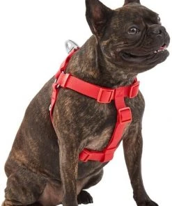 Frisco Outdoor Solid Textured Waterproof Stink Proof PVC Dog Harness -Frisco Sales 2024 256518 PT2. SY630 V1625164704