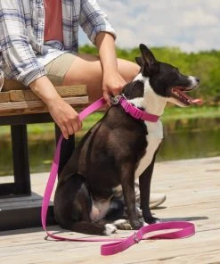 Frisco Outdoor Solid Textured Waterproof Stink Proof PVC Dog Leash -Frisco Sales 2024 256546 PT5. SY630 V1625589509