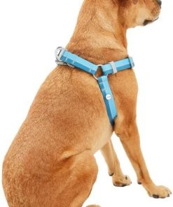 Frisco Outdoor Two Tone Waterproof Stinkproof PVC Dog Harness -Frisco Sales 2024 256565 PT3. SY630 V1625164653