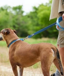 Frisco Outdoor Heathered Nylon Leash -Frisco Sales 2024 256647 PT5. SY630 V1625588443