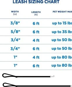 Frisco Outdoor Nylon Reflective Comfort Padded Dog Leash -Frisco Sales 2024 256678 PT6. SY630 V1630006958