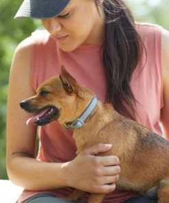 Frisco Outdoor Comfort Print Nylon Padded Dog Collar -Frisco Sales 2024 256713 PT5. SY630 V1625587063