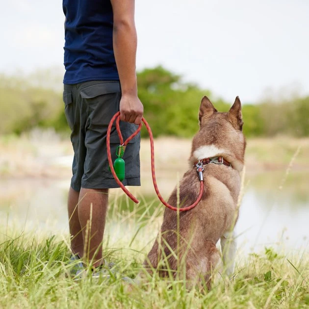 Frisco Outdoor Waterproof Stinkproof PVC Rope Leash 6 Frisco Outdoor Waterproof Stinkproof PVC Rope Leash - Image 4