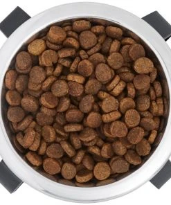 Frisco Iron Stand Dog & Cat Single Bowl Diner -Frisco Sales 2024 257150 PT4. SY630 V1615312614