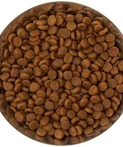 Frisco Flare Dog & Cat Bowl -Frisco Sales 2024 257162 PT4. SY630 V1612366692