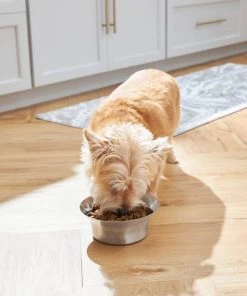 Frisco Flare Dog & Cat Bowl -Frisco Sales 2024 257162 PT8. SY630 V1615840471