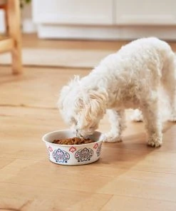 Frisco Bohemian Dog & Cat Bowl -Frisco Sales 2024 257195 PT8. SY630 V1615932115