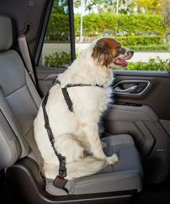 Frisco Adjustable Dog Seatbelt Tether