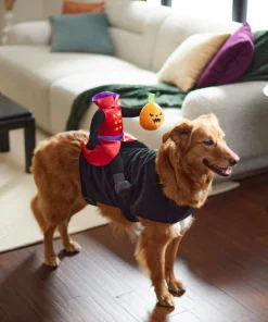 Frisco Headless Rider Dog & Cat Costume -Frisco Sales 2024 260910 PT8. SY630 V1624461040