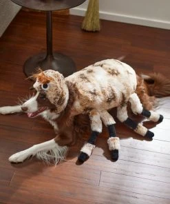 Frisco Spider Dog & Cat Costume -Frisco Sales 2024 260921 PT8. SY630 V1624397298