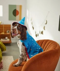 Frisco Wizard Dog & Cat Costume -Frisco Sales 2024 260962 PT8. SY630 V1624335469