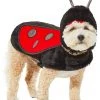 Frisco Ladybug Dog & Cat Costume 2 Frisco Ladybug Dog & Cat Costume -Frisco Sales 2024 260971 MAIN. SY630 V1624398246