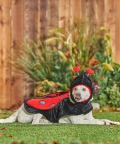 Frisco Ladybug Dog & Cat Costume -Frisco Sales 2024 260971 PT8. SY630 V1624401658