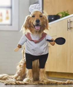 Frisco Front Walking Chef Dog & Cat Costume -Frisco Sales 2024 261002 PT8. SY630 V1624366984