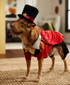 Frisco Ringmaster Dog & Cat Costume -Frisco Sales 2024 261023 PT8. SY630 V1624398366